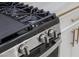 Close-up of a stainless steel gas range with sleek black grates and controls at 17 Winding Rd, Henderson, NV 89052