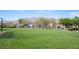 Open park area with lush green grass and mature trees, perfect for recreation and enjoying the outdoors at 5600 Old Stable Ave, Las Vegas, NV 89131