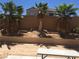 Backyard featuring desert landscape, privacy wall, and mature palm trees at 9175 Titan Hill Ct, Las Vegas, NV 89148