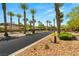 A beautifully landscaped street featuring a canopy of trees and well-maintained desert landscaping at 9747 Cathedral Pines Ave, Las Vegas, NV 89149
