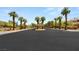 A scenic street features manicured landscaping, mature trees, and palm trees lining the street at 9747 Cathedral Pines Ave, Las Vegas, NV 89149