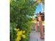 Manicured landscaping featuring flowering bushes and a glimpse of the backyard patio at 2279 Pacini Ct, Henderson, NV 89052