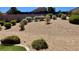 Landscaped backyard featuring decorative rock, lush bushes, and low-maintenance design at 2535 Jada Dr, Henderson, NV 89044