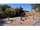 Enchanting backyard featuring desert landscaping, decorative sunflowers, and ample privacy at 4732 S Adriano Way, Pahrump, NV 89061