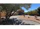 Lush backyard featuring desert landscaping, mature trees, and privacy fencing, perfect for enjoying the outdoors at 4732 S Adriano Way, Pahrump, NV 89061