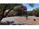 Well-maintained backyard features desert landscaping, decorative accents, and a private outdoor setting at 4732 S Adriano Way, Pahrump, NV 89061