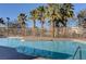A large, sparkling community pool surrounded by palm trees and a secure fence, perfect for relaxing at 8768 Tom Noon Ave # 101, Las Vegas, NV 89178