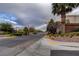 A beautifully landscaped street scene with palm trees and shrubbery lining the roadway near the home at 8768 Tom Noon Ave # 101, Las Vegas, NV 89178