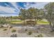 Scenic view of lush green golf course with desert landscaping from the property at 916 Pro Players Dr, Las Vegas, NV 89134