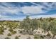 Scenic golf course view from the property, showcasing the lush greenery and natural beauty at 916 Pro Players Dr, Las Vegas, NV 89134