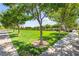 Community green space with walking path, mature shade trees and parkway at 3058 Casarano Ct, Henderson, NV 89044