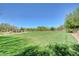 Lush green space with community picnic areas, walking path, and shade structures for resident enjoyment at 3949 Amanda Bay Ave, North Las Vegas, NV 89081