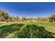 Open green space in a community park with mature trees, covered seating, and ample room for recreation at 3949 Amanda Bay Ave, North Las Vegas, NV 89081