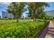 View of a manicured golf course with city buildings in the background at 572 Tam O Shanter, Las Vegas, NV 89109