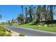 Palm tree lined road with manicured lawns and golf course views at 145 Forest Crossing Ct, Las Vegas, NV 89148