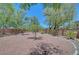 A well-maintained backyard has mature landscaping, trees and a neutral color scheme at 229 N Buteo Woods Ln, Las Vegas, NV 89144
