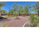 A backyard with mature trees and desert landscaping offers a private and serene outdoor space at 229 N Buteo Woods Ln, Las Vegas, NV 89144