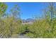 Expansive mountain views over mature trees and other neighborhood homes at 229 N Buteo Woods Ln, Las Vegas, NV 89144