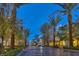 Beautiful street view with palm trees and shops, offering a lively community atmosphere at 511 Beaconwood St, Henderson, NV 89052