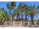 Welcoming entrance to 'The Falls' community, lined with mature palm trees at 9050 W Warm Springs Rd # 2062, Las Vegas, NV 89148
