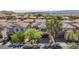 Aerial view of a well maintained home with mature trees and solar panels at 9814 Gifthouse St, Las Vegas, NV 89178