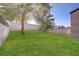 Spacious backyard with lush green lawn and mature tree, perfect for outdoor enjoyment at 117 Lotus Blossom Ct, Las Vegas, NV 89145