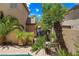 Backyard view featuring tropical landscaping, palm trees and view of the patio at 2042 Maple Springs St, Henderson, NV 89002