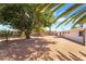 Expansive backyard with desert landscaping, mature trees, and patio area perfect for outdoor entertaining at 2749 Del Mar Pl, Las Vegas, NV 89169