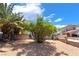 Landscaped backyard, featuring mature trees and ample space for outdoor activities at 2749 Del Mar Pl, Las Vegas, NV 89169