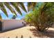 Private backyard with desert landscaping, palm trees, and secure gated access to the property at 2749 Del Mar Pl, Las Vegas, NV 89169