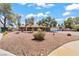 Exterior shot featuring desert landscaping and mature trees on a sunny day at 2821 Moon Cir, Las Vegas, NV 89120