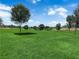 Expansive green field offers a serene space for recreation and relaxation at 851 Klamath Springs St, Henderson, NV 89011
