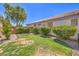 Well-maintained backyard with green grass, mature trees, and privacy fence at 1145 Glacier Park Ct, Henderson, NV 89052