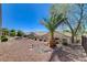 Wide backyard view with low-maintenance landscaping, decorative rocks, and privacy fence at 2508 Chasma Dr, Henderson, NV 89044