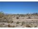 View of desert landscape, including tire shop sign at 2520 E Ambush St, Pahrump, NV 89048