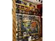 Floor to ceiling bookshelf library with rolling ladder and framed world map at 3601 Slapton Ave, North Las Vegas, NV 89031