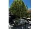 Backyard garden area featuring a mature peach tree and raised planter beds at 3601 Slapton Ave, North Las Vegas, NV 89031