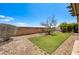 The backyard is low maintenance and features a brick wall, shrubs, and a patch of green grass at 3609 Blue Pimpernel Ave, North Las Vegas, NV 89081