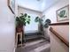 Bright hallway nook with stylish flooring, comfortable bench seat, and lush potted plants by the window at 6922 Majestic Palm Dr, Las Vegas, NV 89122