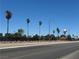 A scenic view of palm trees lining the street, enhancing the appeal of the neighborhood at 6922 Majestic Palm Dr, Las Vegas, NV 89122
