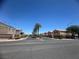A street view in a desert community with Palm Trees and desert landscaping at 6922 Majestic Palm Dr, Las Vegas, NV 89122