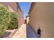 Narrow side yard featuring a stone pathway, mature greenery, and house walls at 9864 Maspalomas St, Las Vegas, NV 89178