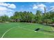 Outdoor basketball court with green surface, surrounded by lush trees, perfect for recreational activities at 11139 Zarod Rd, Las Vegas, NV 89135
