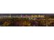 Panoramic city view showcases the bright lights of Las Vegas behind desert foliage, offering a unique evening view at 12544 Claymore Highland Ave, Las Vegas, NV 89138
