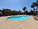 Inviting community pool area with palm trees and plenty of lounge chairs on a sunny day at 248 Crystal Rose Ct, Las Vegas, NV 89106