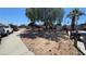 View of property with large shade tree and xeriscaped front yard at 2965 Palma Vista Cir, Las Vegas, NV 89169