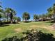 Expansive green backyard featuring mature trees, lush landscaping, and a well-maintained lawn at 4814 Regalo Bello St, Las Vegas, NV 89135
