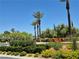 Beautifully landscaped community featuring lush greenery, vibrant flowers, and towering palm trees against a clear blue sky at 4814 Regalo Bello St, Las Vegas, NV 89135