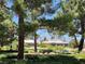 Picturesque community park with mature trees, lush landscaping, seating, and views of nearby homes at 4814 Regalo Bello St, Las Vegas, NV 89135
