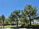 Scenic view of a well-maintained community featuring lush greenery, mature trees, and manicured lawns at 4814 Regalo Bello St, Las Vegas, NV 89135